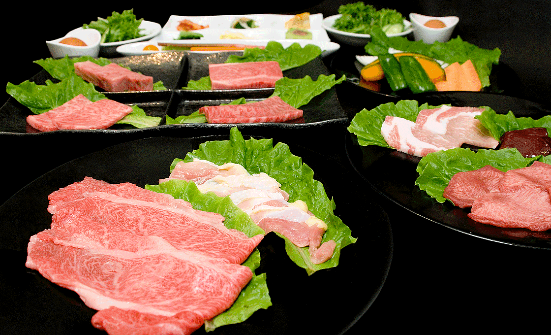 レディースプラン