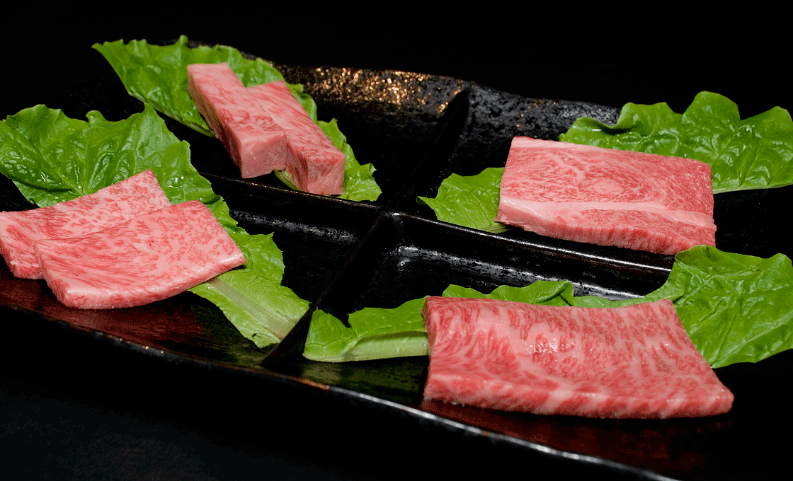 レディースプラン